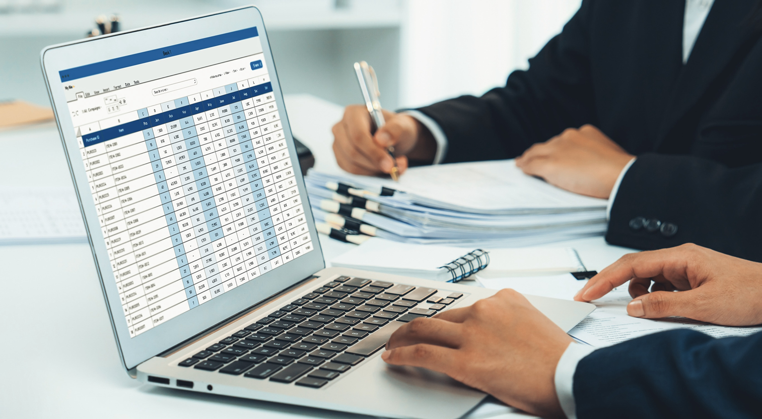 Accountants analyze a fixed asset schedule on a laptop.